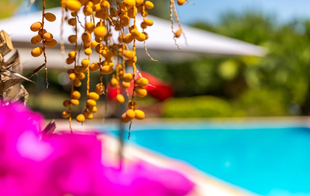 Marmaris Holiday Villas Ngoại thất bức ảnh