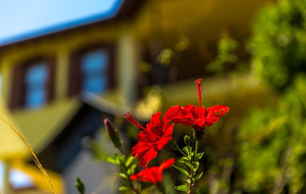 Marmaris Holiday Villas Ngoại thất bức ảnh