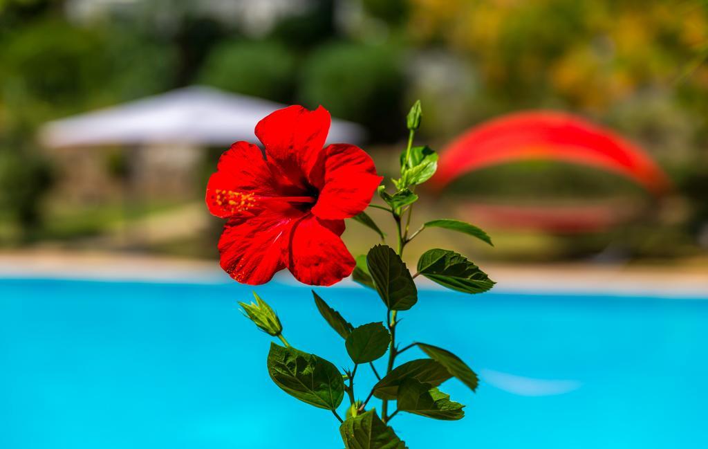 Marmaris Holiday Villas Ngoại thất bức ảnh